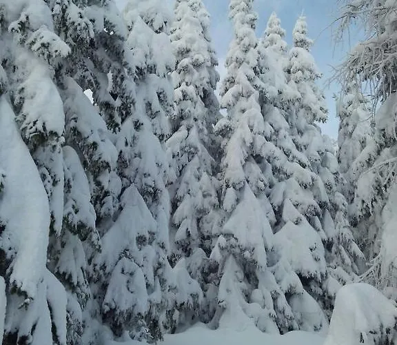 Апартаменты Im Lungau